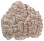 171806 Klippblock dolomit