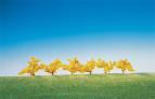 181475 Forsythior gula blommor 6 st
