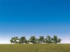 181478 Buske vitblommande 6 st