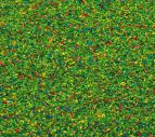 170710 Strömaterial blomsteräng