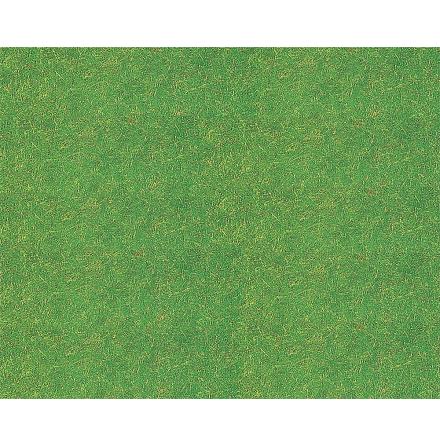170725 Gräs gräsgrön