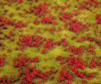 180460 PREMIUM Landskapssegment blomsteräng röd